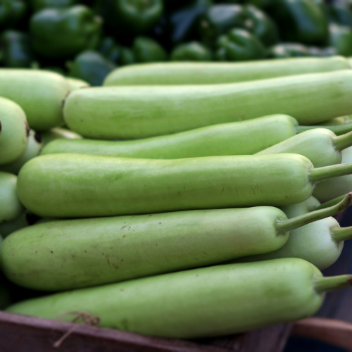 Bottle Gourd